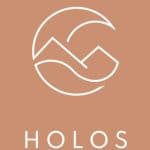 Gradatus Online Marketing Referentie Holos